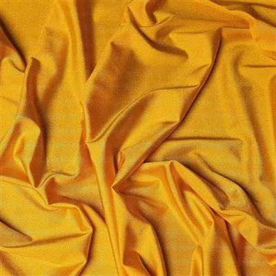 Glossy Bra Fabric
